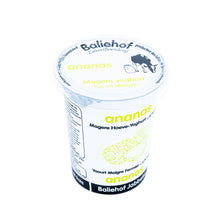 Afbeelding in Gallery-weergave laden, Magere yoghurt met fruit