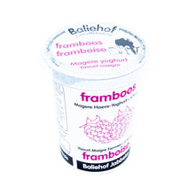 Afbeelding in Gallery-weergave laden, Magere yoghurt met fruit
