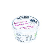 Afbeelding in Gallery-weergave laden, Magere yoghurt met fruit