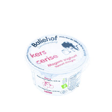 Afbeelding in Gallery-weergave laden, Magere yoghurt met fruit
