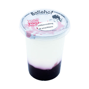 Volle yoghurt met fruit (lactosevrij!)